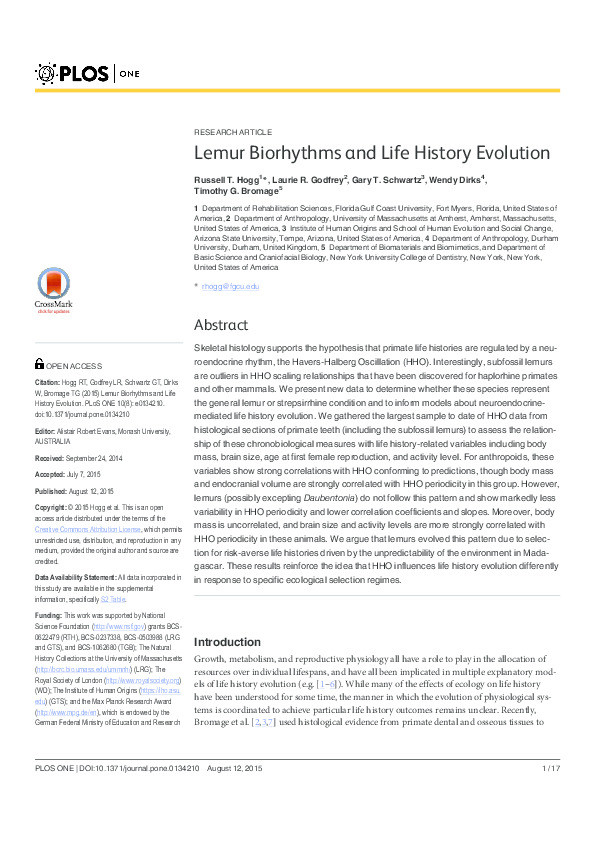 Lemur Biorhythms and Life History Evolution Thumbnail