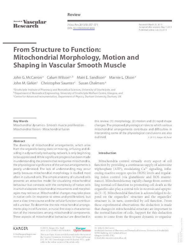 From Structure to Function: Mitochondrial Morphology, Motion and Shaping in Vascular Smooth Muscle Thumbnail