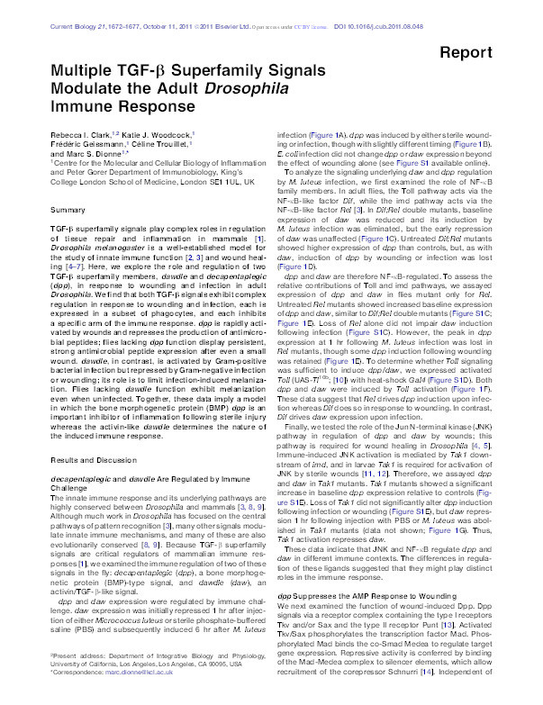 Multiple TGF-β superfamily signals modulate the adult Drosophila immune response Thumbnail