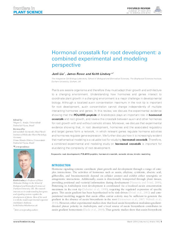 Hormonal crosstalk for root development: a combined experimental and modeling perspective Thumbnail