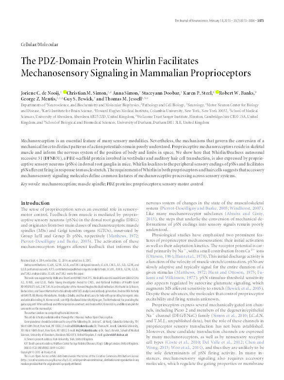 The PDZ-domain protein whirlin facilitates mechanosensory signaling in mammalian proprioceptors Thumbnail