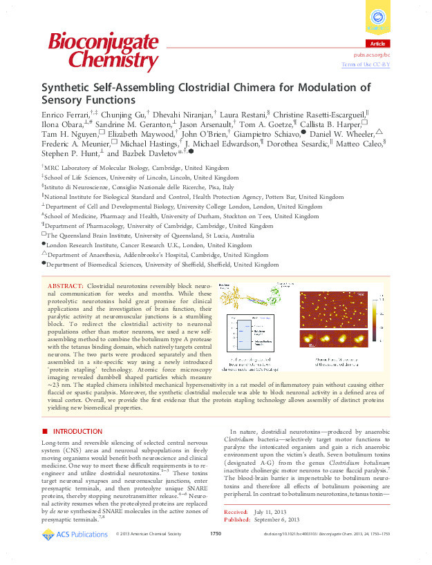 Synthetic self-assembling clostridial chimera for modulation of sensory functions Thumbnail