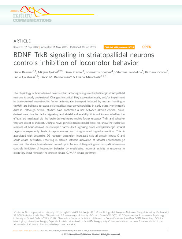 BDNF-TrkB signaling in striatopallidal neurons controls inhibition of locomotor behaviour Thumbnail