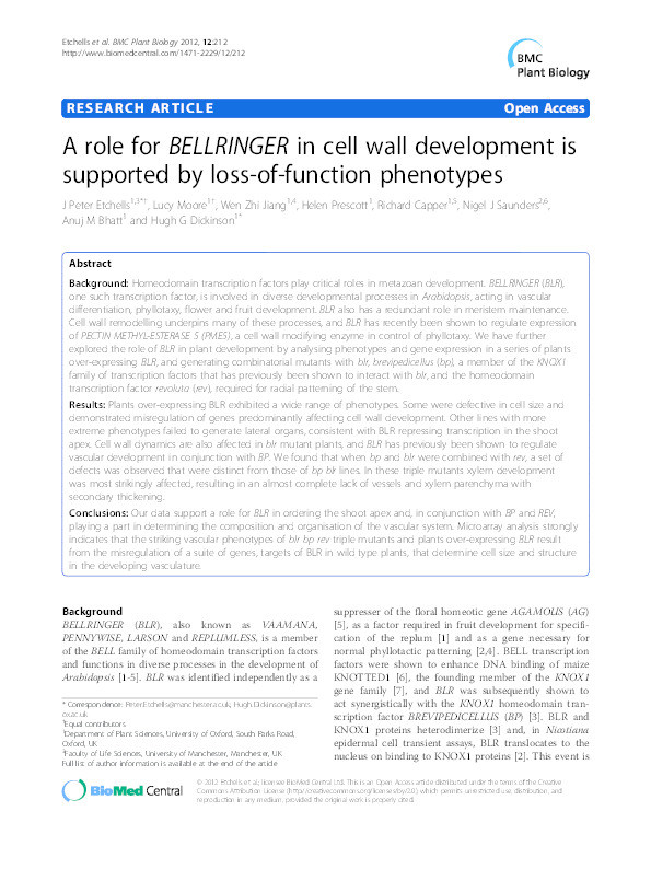 A role for BELLRINGER in cell wall development is supported by loss-of-function phenotypes Thumbnail