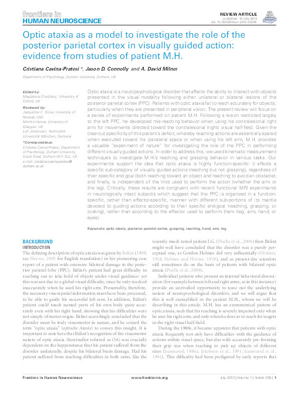 Optic ataxia as a model to investigate the role of the posterior parietal cortex in visually guided action: Evidence from studies of patient M.H Thumbnail