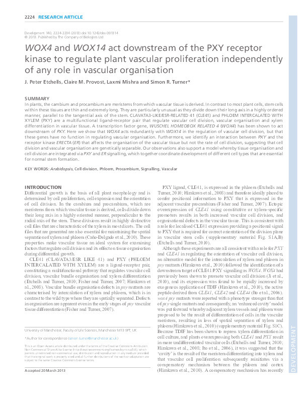 WOX4 and WOX14 act downstream of the PXY receptor kinase to regulate plant vascular proliferation independently of any role in vascular organisation Thumbnail