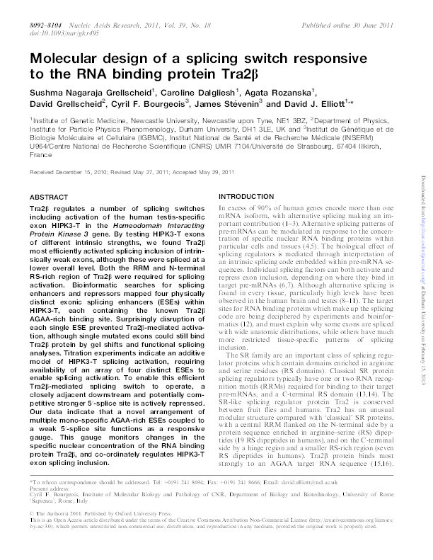Molecular design of a splicing switch responsive to the RNA binding protein Tra2β Thumbnail