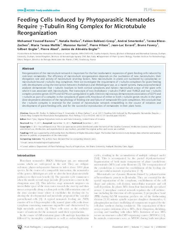 Feeding cells induced by phytoparasitic nematodes require gamma-tubulin ring complex for microtubule reorganization Thumbnail