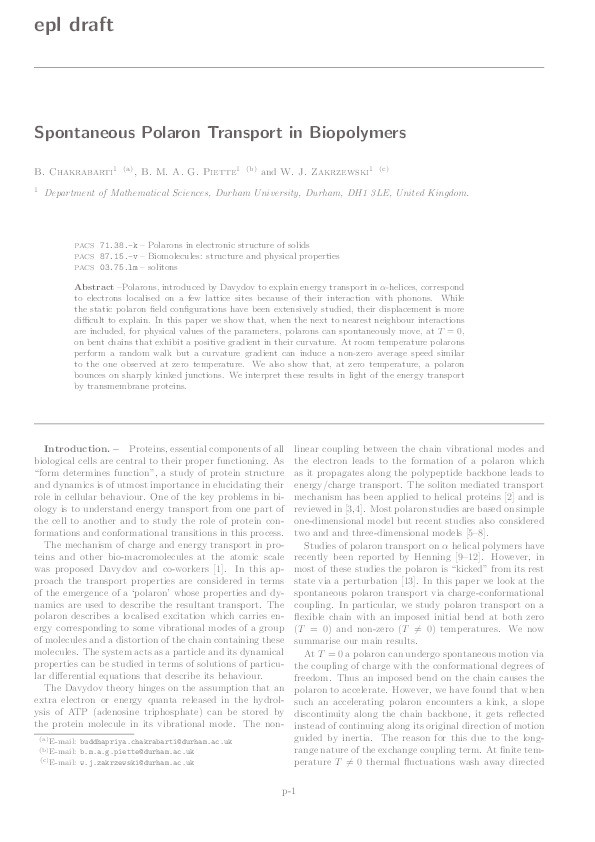 Spontaneous polaron transport in biopolymers Thumbnail