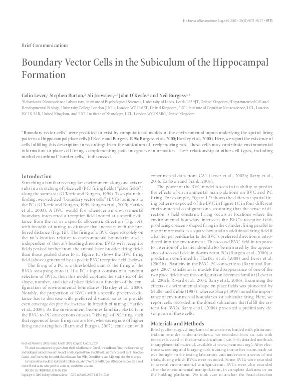 Boundary vector cells in the subiculum of the hippocampal formation Thumbnail