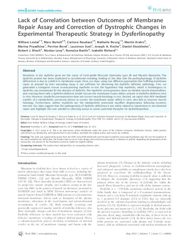 Lack of correlation between outcomes of membrane repair assay and correction of dystrophic changes in experimental therapeutic strategy in dysferlinopathy Thumbnail