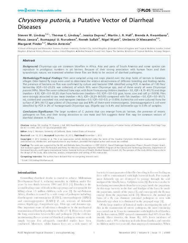 Chrysomya putoria, a putative vector of diarrheal diseases Thumbnail