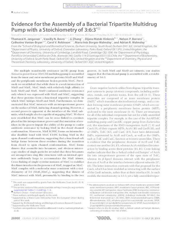 Evidence for the assembly of a bacterial tripartite multidrug pump with a stoichiometry of 3:6:3 Thumbnail