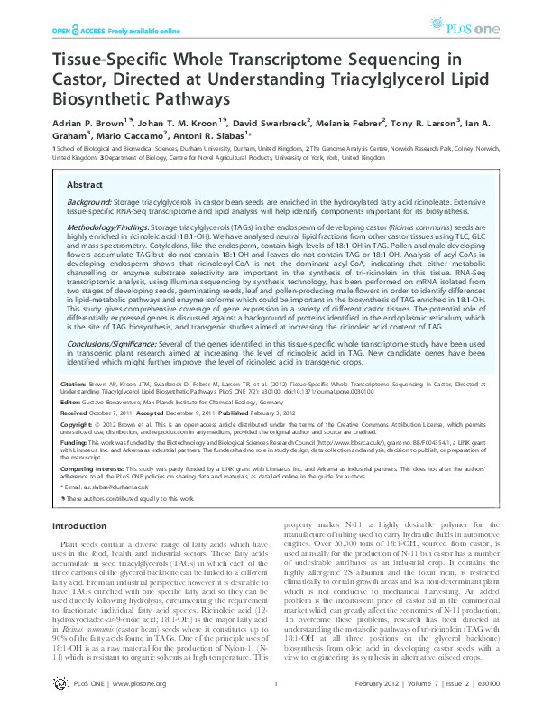 Tissue-specific whole transcriptome sequencing in castor, directed at understanding triacylglycerol lipid biosynthetic pathways Thumbnail