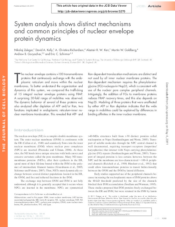 System analysis shows distinct mechanisms and common principles of nuclear envelope protein dynamics Thumbnail
