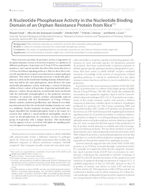 A Nucleotide Phosphatase Activity in the Nucleotide Binding Domain of an Orphan Resistance Protein from Rice Thumbnail