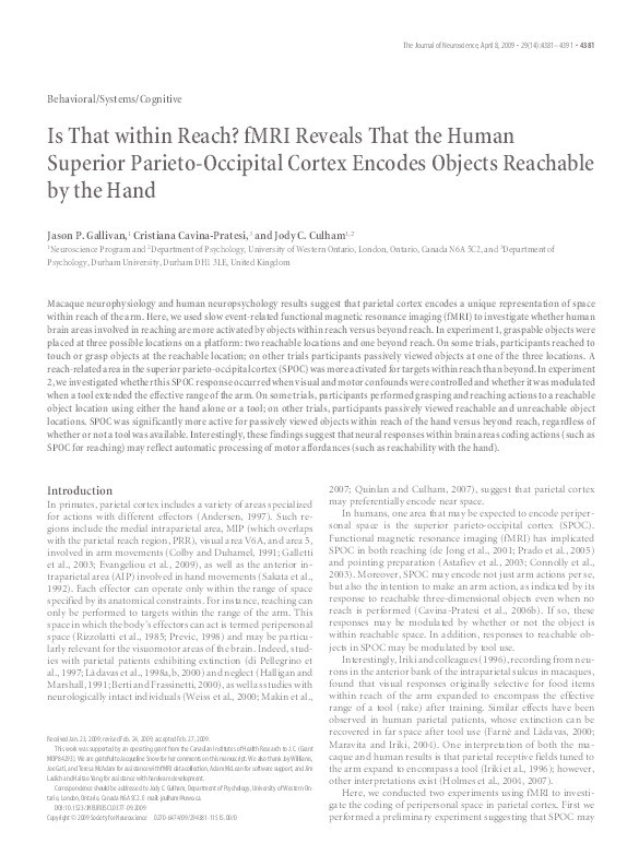 Is that within reach? fMRI reveals that the human superior parieto-occipital cortex encodes objects reachable by the hand Thumbnail