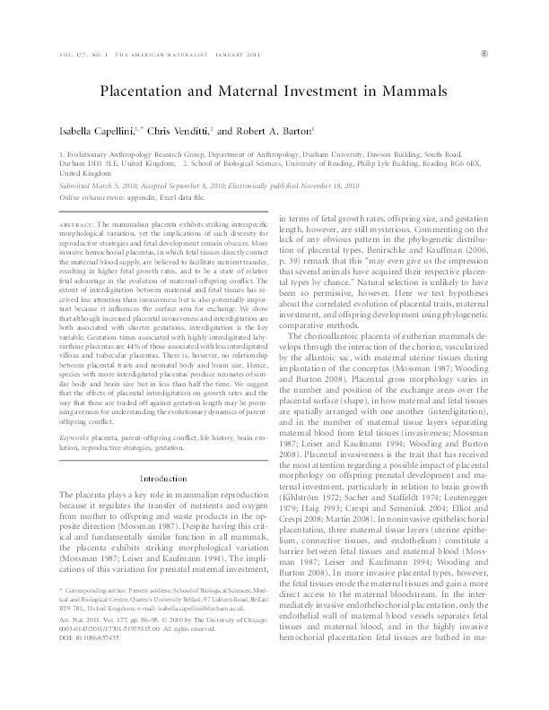 Placentation and maternal investment in mammals Thumbnail