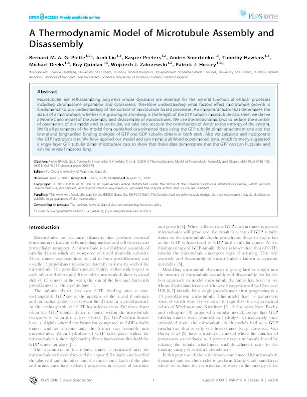 A Thermodynamic Model of Microtubule Assembly and Disassembly Thumbnail