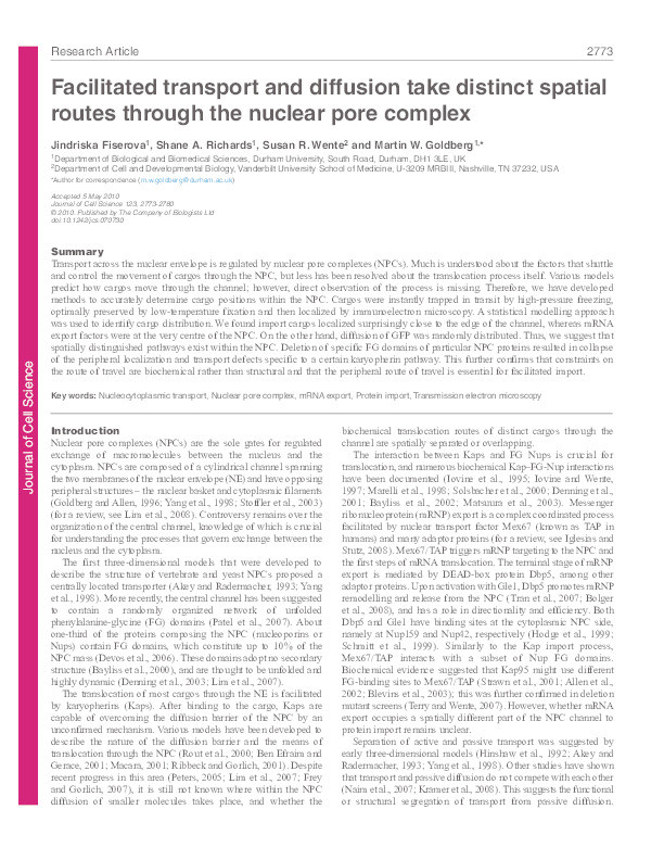 Facilitated transport and diffusion take distinct spatial routes through the nuclear pore complex Thumbnail