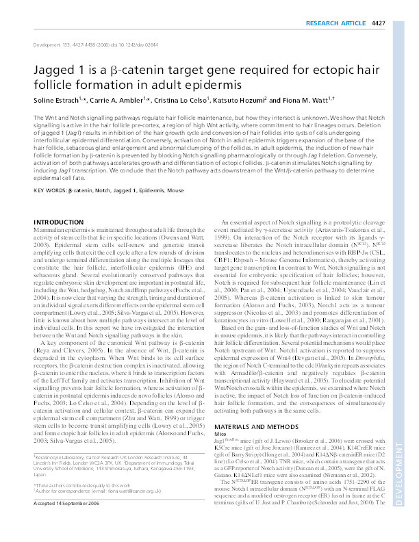 Jagged 1 is a beta-catenin target gene required for ectopic hair follicle formation in adult epidermis Thumbnail