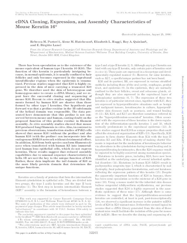cDNA Cloning, Expression, and Assembly Characteristics of Mouse Keratin 16 Thumbnail