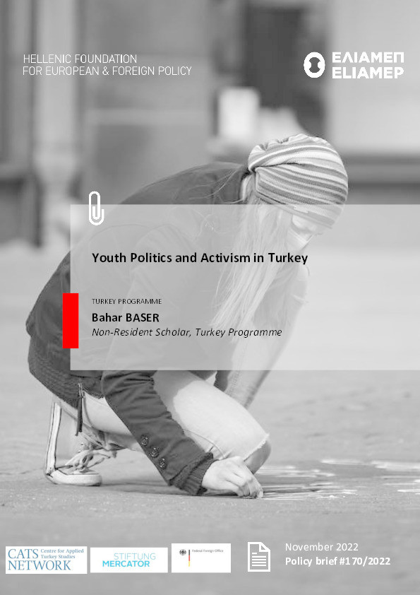 Youth Politics and Activism in Turkey Thumbnail