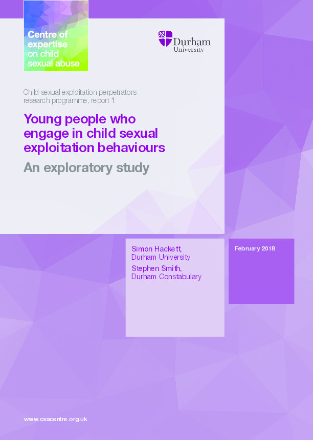 Young people who engage in child sexual exploitation behaviours. An exploratory study Thumbnail