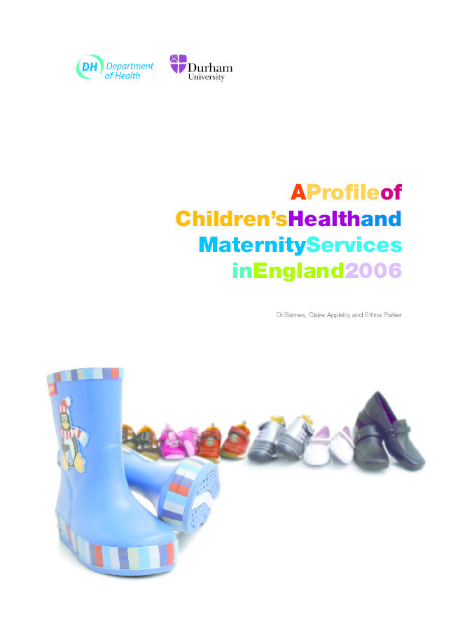 A profile of Children's Health and Maternity Services in England 2006 Thumbnail
