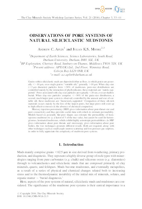 Observations of pore systems of natural siliciclastic mudstones Thumbnail
