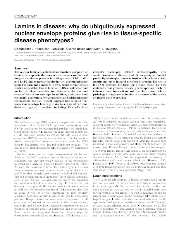 Lamins in disease : why do ubiquitously expressed nuclear envelope proteins give rise to tissue-specific disease phenotypes? Thumbnail