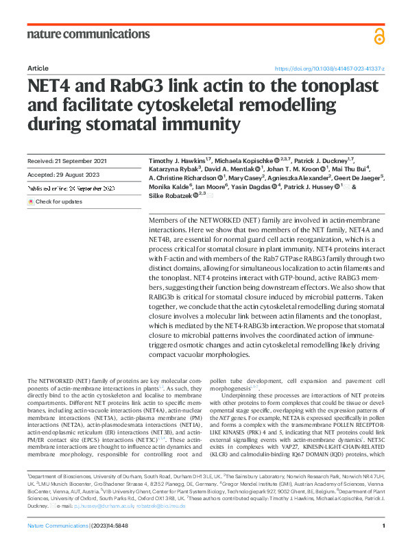 NET4 and RabG3 link actin to the tonoplast and facilitate cytoskeletal remodelling during stomatal immunity Thumbnail