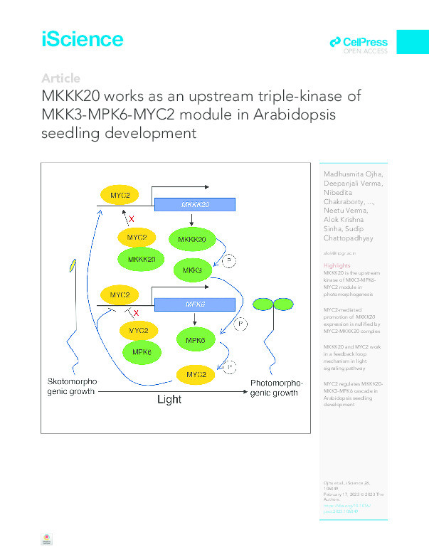 MKKK20 works as an upstream triple-kinase of MKK3-MPK6-MYC2 module in Arabidopsis seedling development Thumbnail