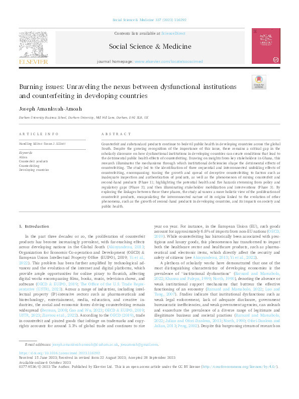 Burning issues: Unraveling the nexus between dysfunctional institutions and counterfeiting in developing countries Thumbnail