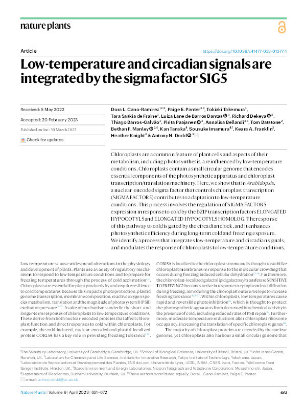 Low-temperature and circadian signals are integrated by the sigma factor SIG5 Thumbnail