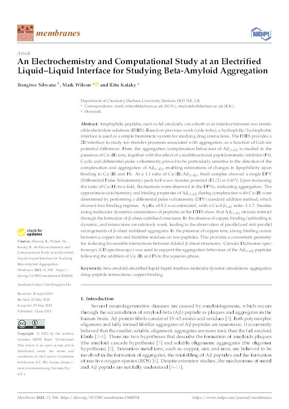 An Electrochemistry and Computational Study at an Electrified Liquid–Liquid Interface for Studying Beta-Amyloid Aggregation Thumbnail