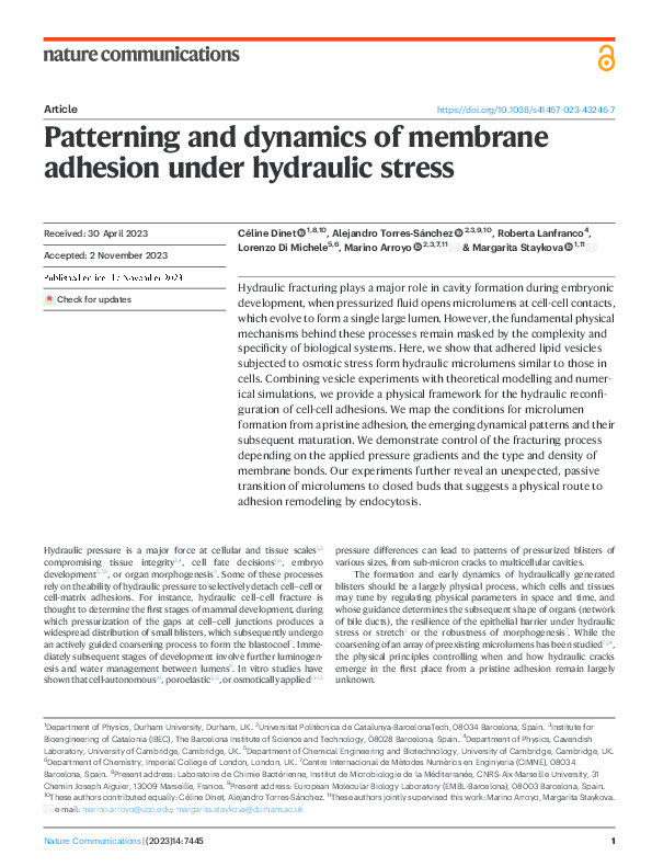 Patterning and dynamics of membrane adhesion under hydraulic stress Thumbnail