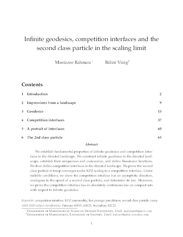 Infinite geodesics, competition interfaces and the second class particle in the scaling limit Thumbnail