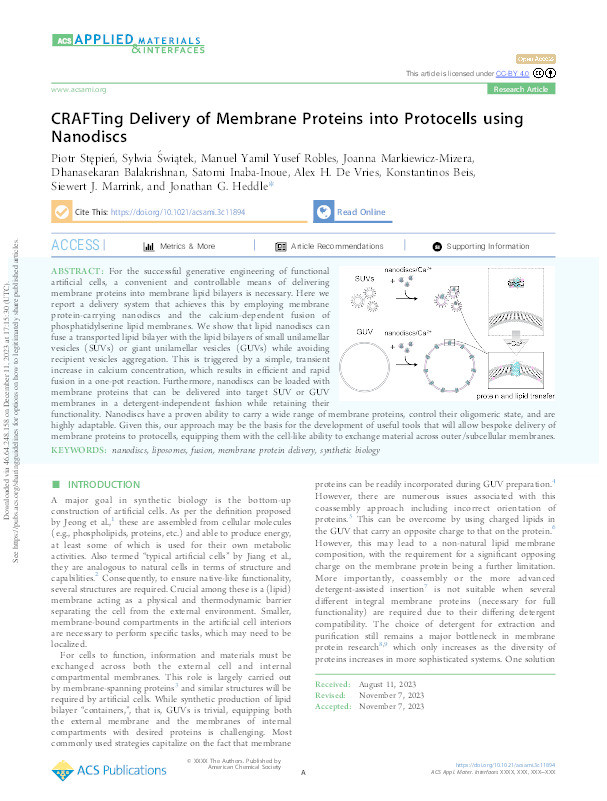 CRAFTing Delivery of Membrane Proteins into Protocells using Nanodiscs Thumbnail