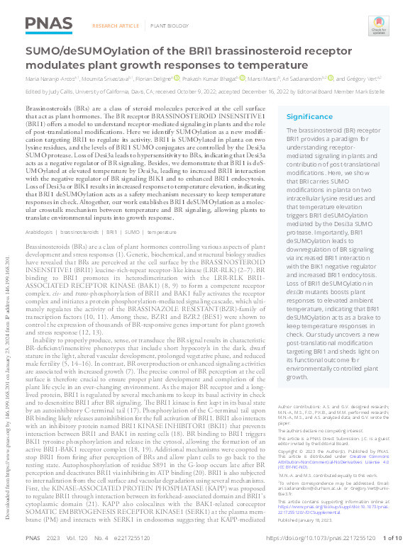 SUMO/deSUMOylation of the BRI1 brassinosteroid receptor modulates plant growth responses to temperature Thumbnail