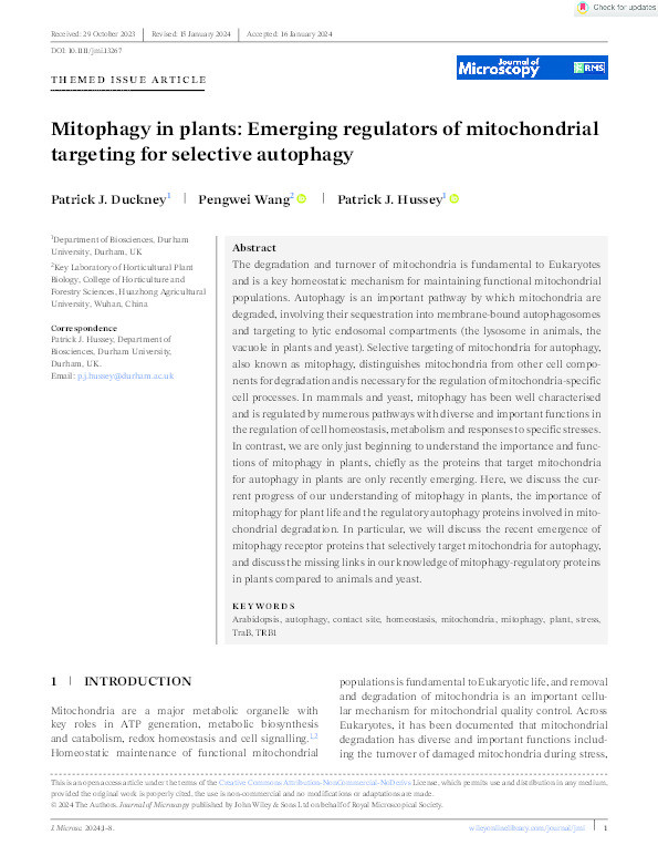 Mitophagy in plants: Emerging regulators of mitochondrial targeting for selective autophagy Thumbnail