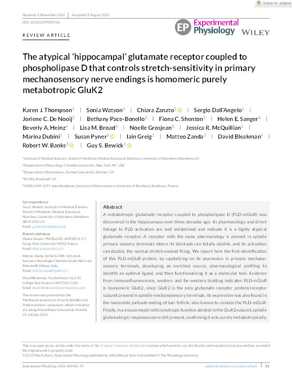 The atypical ‘hippocampal’ glutamate receptor coupled to phospholipase D that controls stretch‐sensitivity in primary mechanosensory nerve endings is homomeric purely metabotropic GluK2 Thumbnail