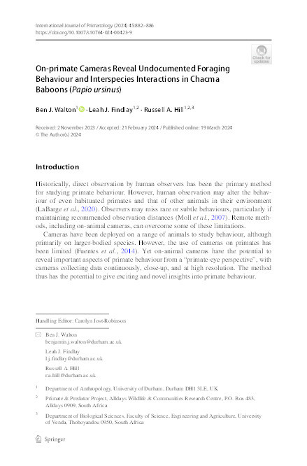 On-primate Cameras Reveal Undocumented Foraging Behaviour and Interspecies Interactions in Chacma Baboons ( Papio ursinus ) Thumbnail