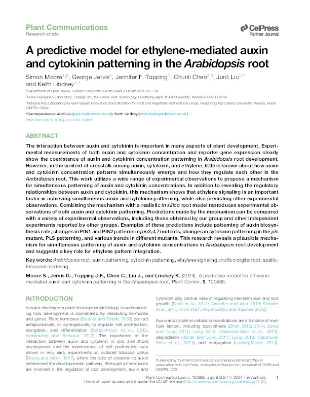 A predictive model for ethylene-mediated auxin and cytokinin patterning in the Arabidopsis root Thumbnail