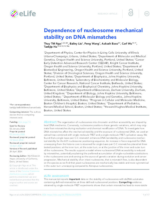 Dependence of Nucleosome Mechanical Stability on DNA Mismatches Thumbnail