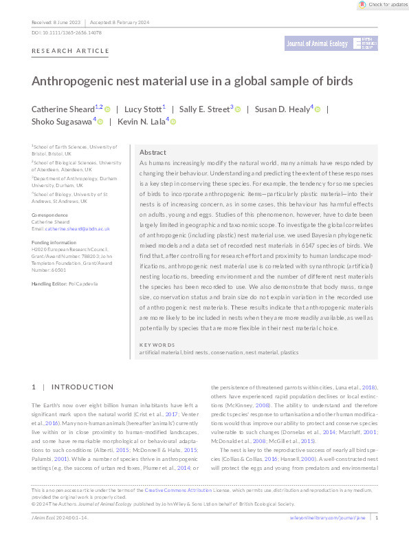 Anthropogenic nest material use in a global sample of birds Thumbnail