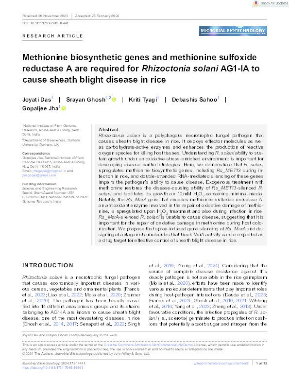 Methionine biosynthetic genes and methionine sulfoxide reductase A are required for Rhizoctonia solani AG1‐IA to cause sheath blight disease in rice Thumbnail