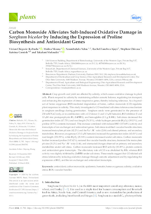 Carbon Monoxide Alleviates Salt-Induced Oxidative Damage in Sorghum bicolor by Inducing the Expression of Proline Biosynthesis and Antioxidant Genes Thumbnail