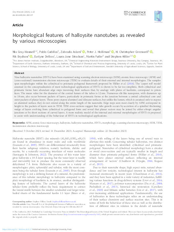 Morphological features of halloysite nanotubes as revealed by various microscopies Thumbnail