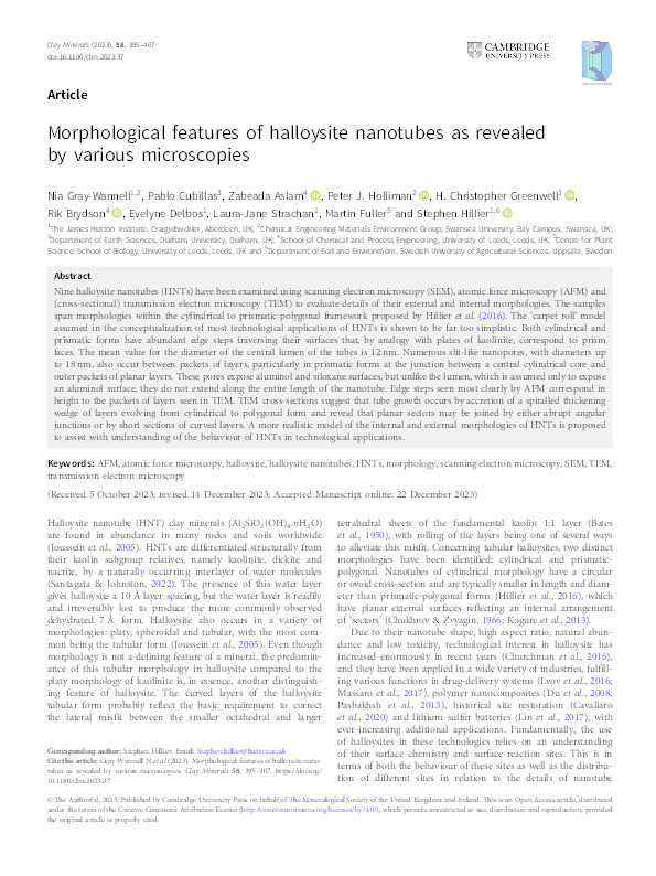 Morphological features of halloysite nanotubes as revealed by various microscopies Thumbnail